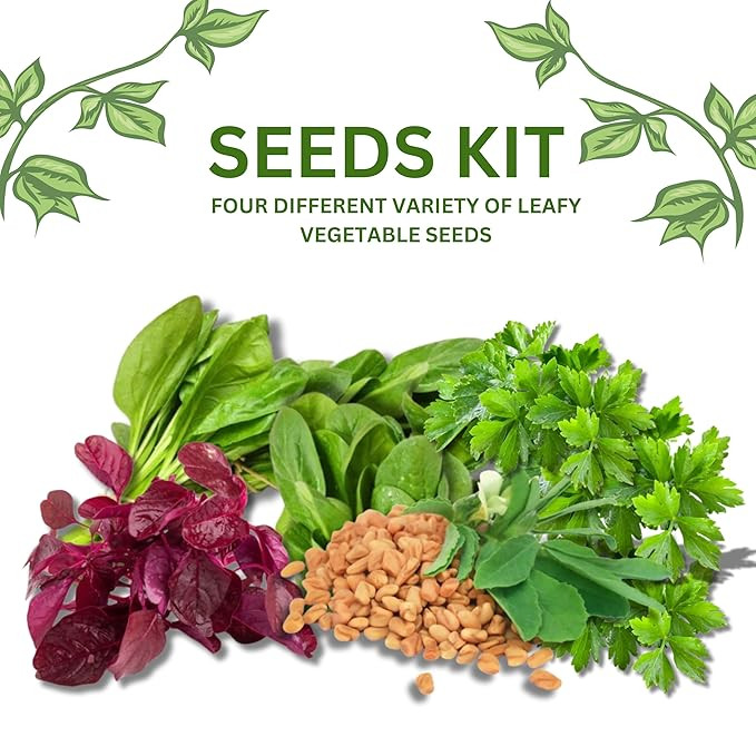 Combo Of Leafy Vegetable